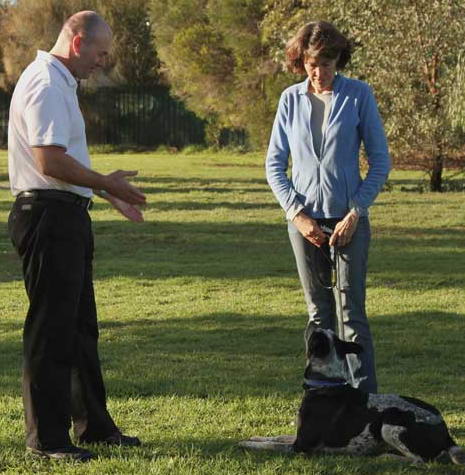 Ian The Dog Trainer 0408 374 444 | In 